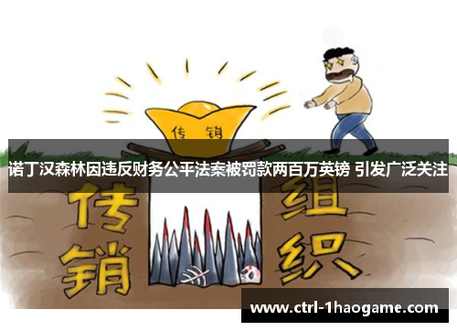 诺丁汉森林因违反财务公平法案被罚款两百万英镑 引发广泛关注