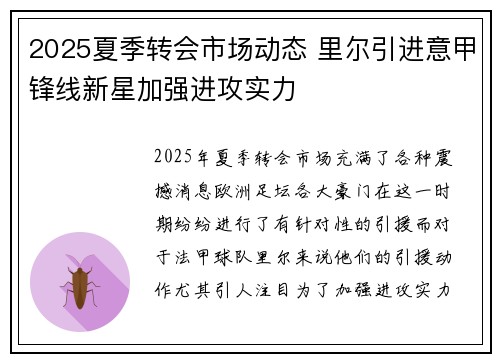 2025夏季转会市场动态 里尔引进意甲锋线新星加强进攻实力