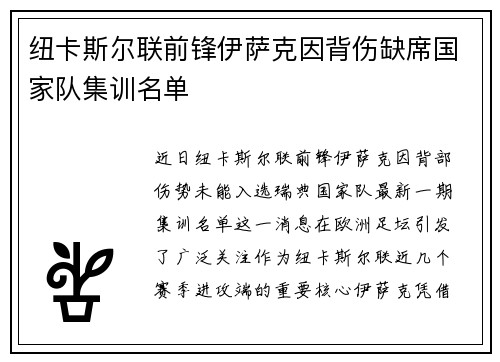 纽卡斯尔联前锋伊萨克因背伤缺席国家队集训名单